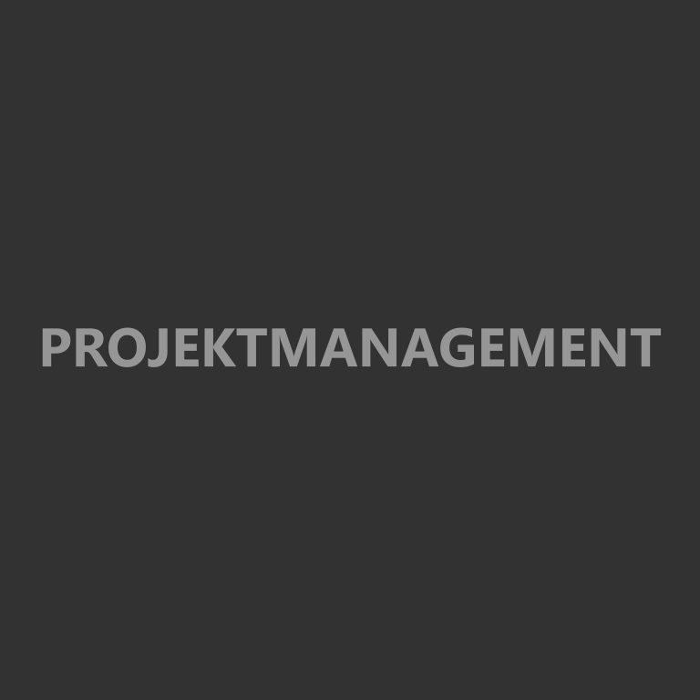 Projektmanager